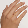 Anillo de Compromiso, Alianzas de Boda, Anillos de Diamantes, Anillos para Mujer, Anillos de Oro para Mujer, Anillos de Pata para Mujer, Anillos de Piedras Preciosas, Anillos de Diseño, Anillos Vintage